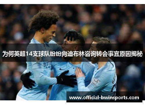 为何英超14支球队纷纷向迪布林咨询转会事宜原因揭秘