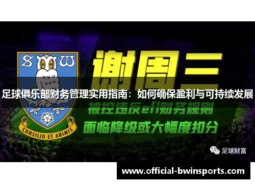 足球俱乐部财务管理实用指南：如何确保盈利与可持续发展