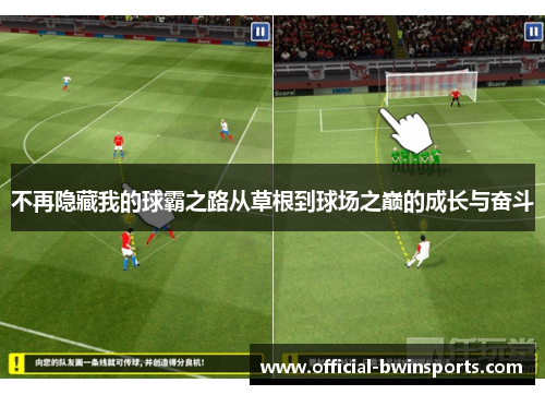 不再隐藏我的球霸之路从草根到球场之巅的成长与奋斗