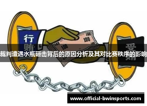 裁判遭遇水瓶砸击背后的原因分析及其对比赛秩序的影响
